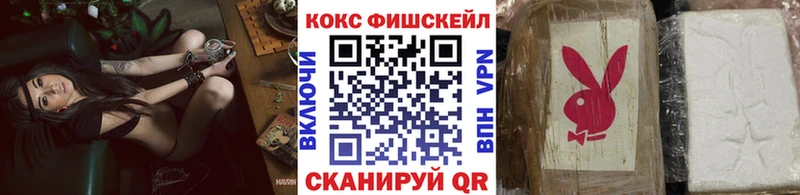 где продают   Тосно  Кокаин Колумбийский 