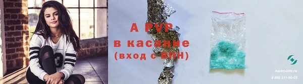 соль ск Алексин