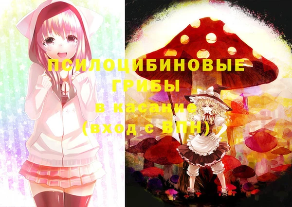 соль ск Алексин