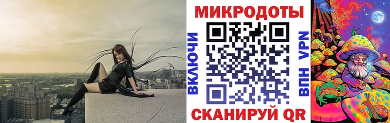 blacksprut вход  Тосно  Псилоцибиновые грибы мицелий 