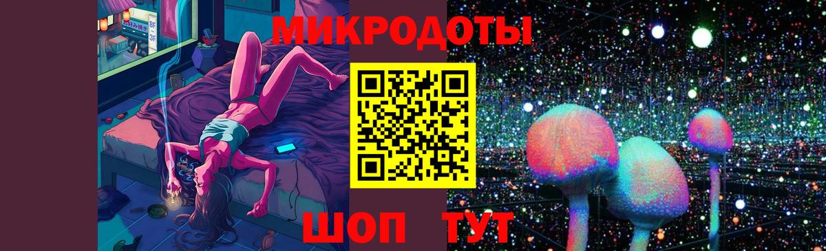 Псилоцибиновые грибы Psilocybe Тосно